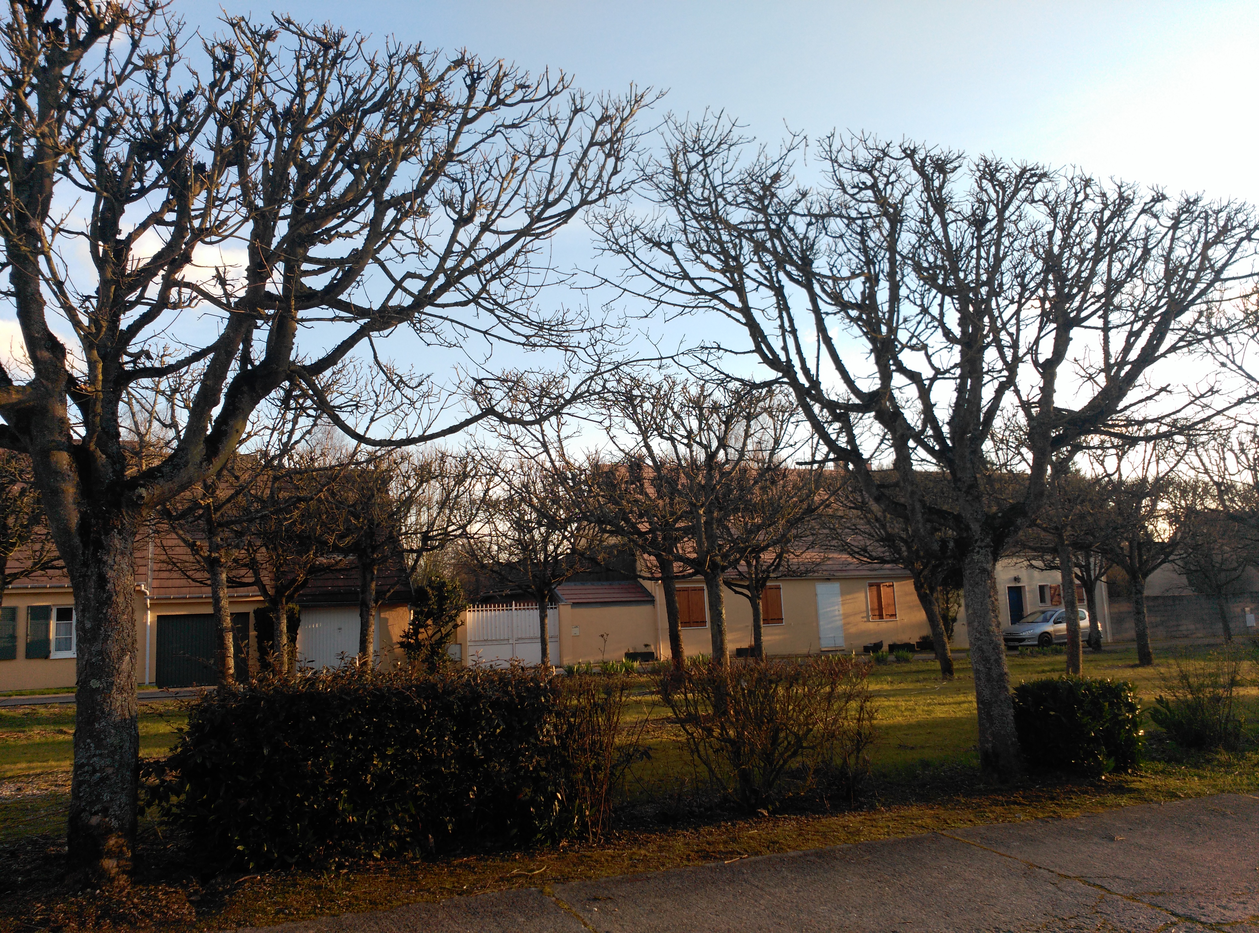 IMG_20160303_174828 Mairie de GrisySuisnes