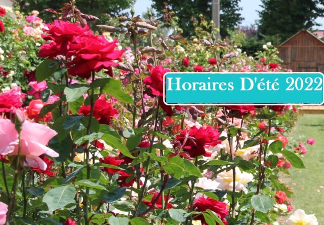 horaires d’été 2