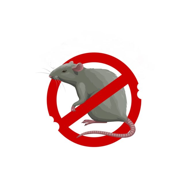 Rat sign, pest control icon, deratization service